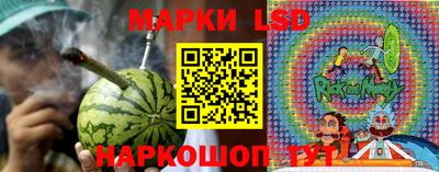 прущие грибы Краснодар