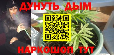 прущие грибы Краснодар