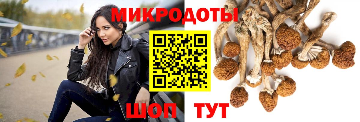 Керчь  Псилоцибиновые грибы GOLDEN TEACHER  Вход с VPN 