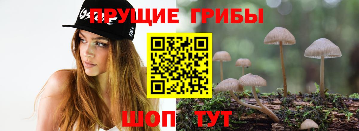 Псилоцибиновые грибы MAGIC MUSHROOMS Керчь